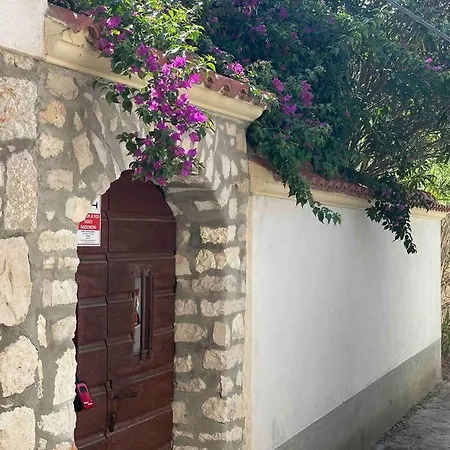 Authentic Nona By Nyc Interior Architect Susak