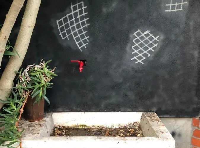 Authentic Nona By Nyc Interior Architect * Susak