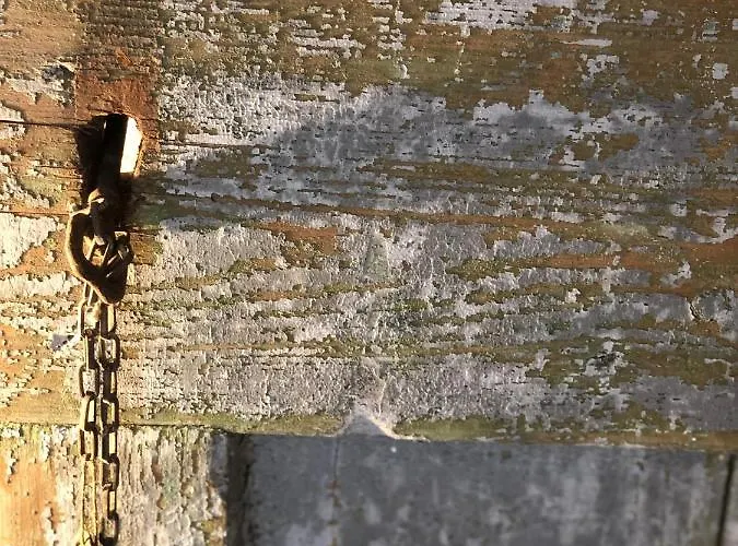 Authentic Nona By Nyc Interior Architect Susak