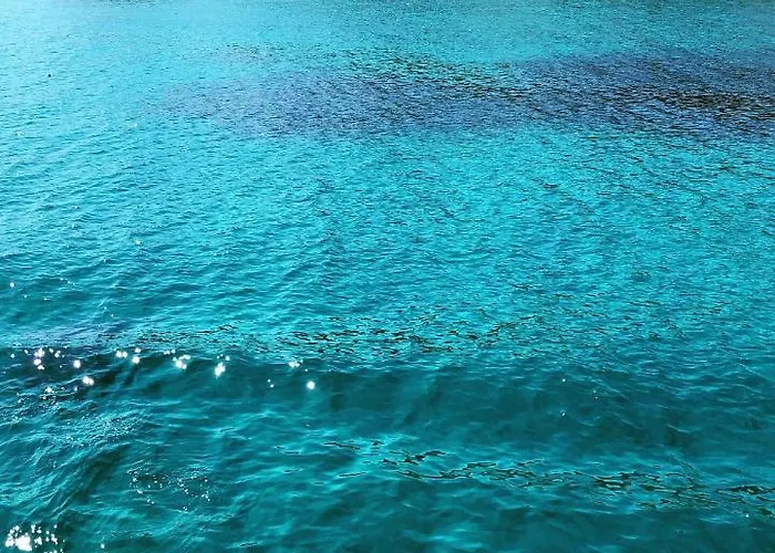 Authentic Nona By Nyc Interior Architect Susak