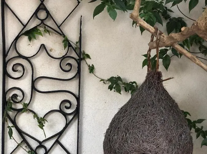 Vila Authentic Nona By Nyc Interior Architect