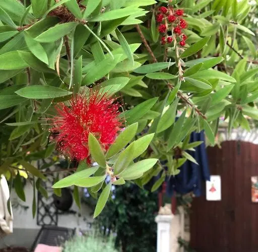 Villa Authentic Nona By Nyc Interior Architect *