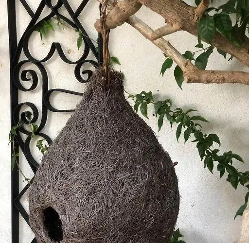 Authentic Nona By Nyc Interior Architect * Susak