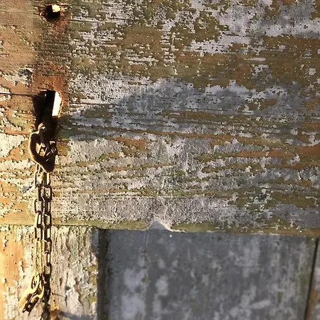 Authentic Nona By Nyc Interior Architect 수사크