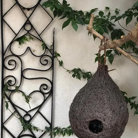 빌라 Authentic Nona By Nyc Interior Architect