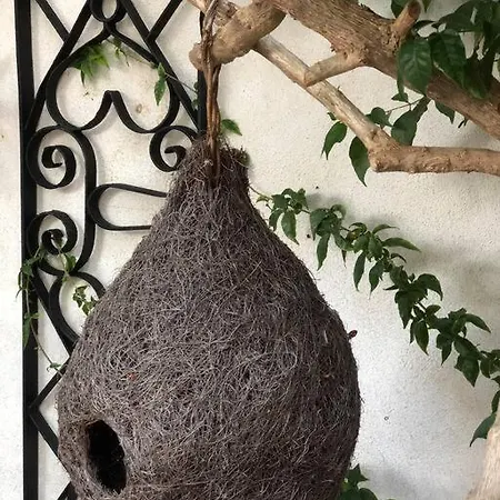 Authentic Nona By Nyc Interior Architect * 수사크