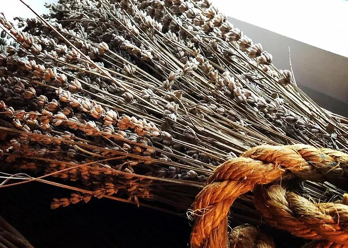 Authentic Nona By Nyc Interior Architect Villa