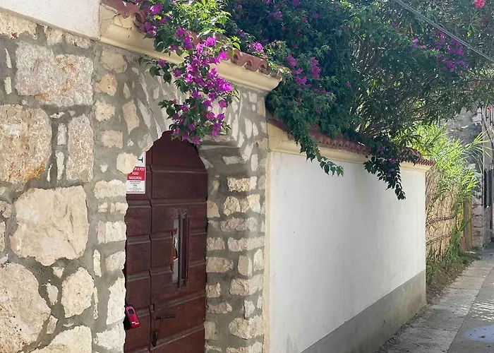 Authentic Nona By Nyc Interior Architect Susak